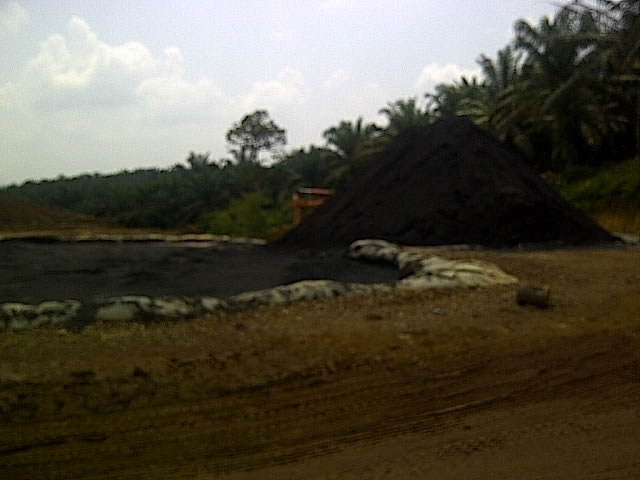 Magnetite Iron Ore - Image 6